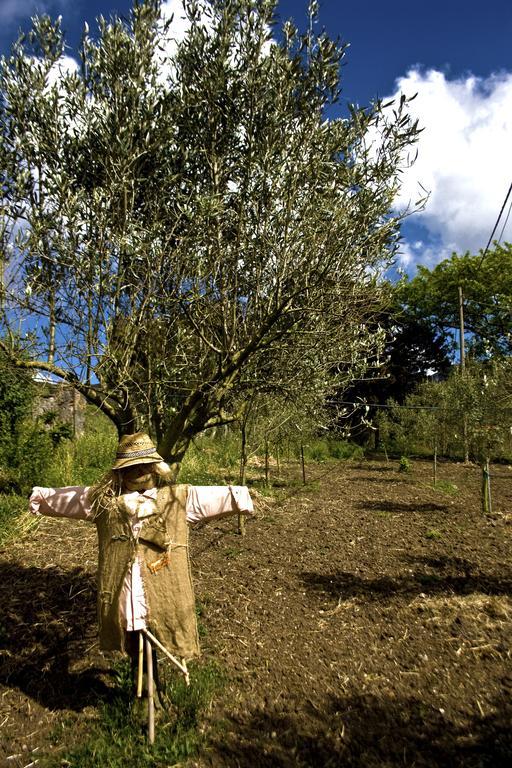 Вилла Agriturismo Satanca Арбус Экстерьер фото